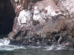 077 Isole Ballestas