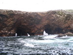 079 Isole Ballestas