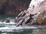 084 Isole Ballestas