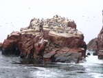 086 Isole Ballestas