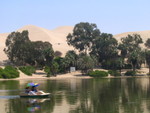 094 Oasi di Huacachina