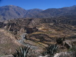 177 Colca