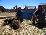 184 Titicaca - Uros