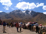 341 Puno - Cuzco