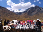 342 Puno - Cuzco