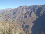 Cayon del Colca