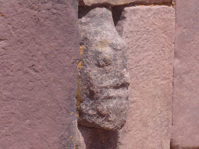 Tiwanaku - pesce