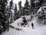 Aprendo la traccia nel bosco